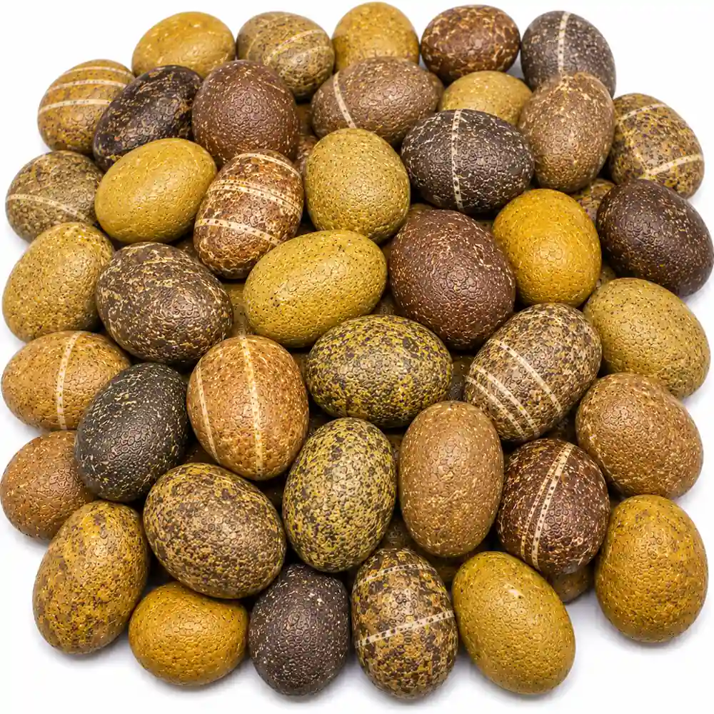Yellow Brown Mix Pebble