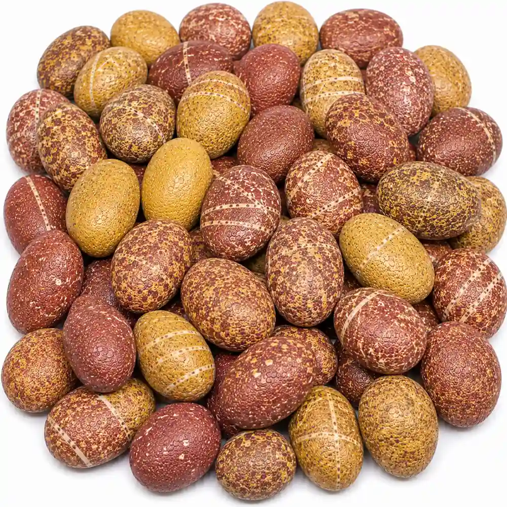 Yellow Red Mix Pebble