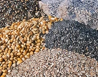 Gravel and Aggregates from India